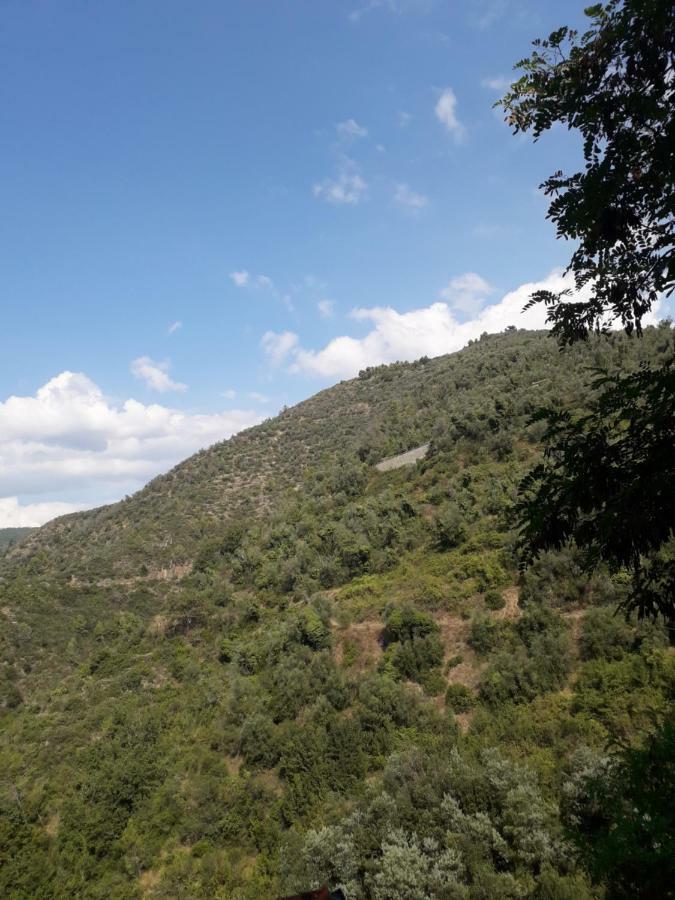 Moki Apricale Villa Kültér fotó
